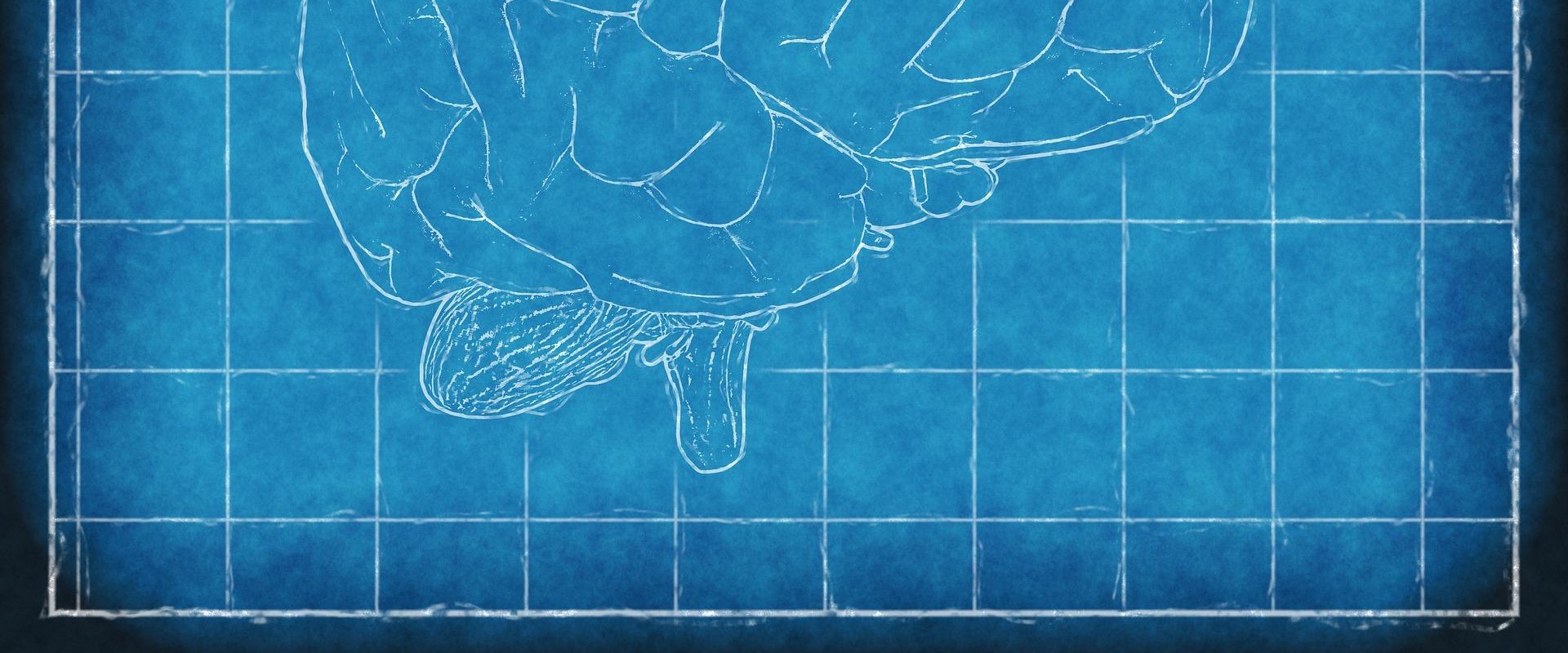 How to Master Quadratic Equations for Better Math Skills